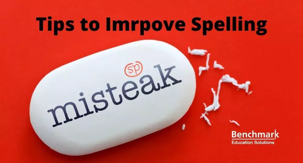 Spellmistake SEO Tools dashboard showing keyword analysis